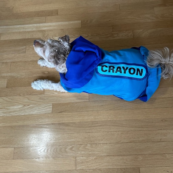 NWT Hyde & Eek Size large dog blue crayon costume - Picture 6 of 6